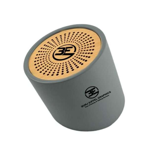 Bluetooth-Speaker branding